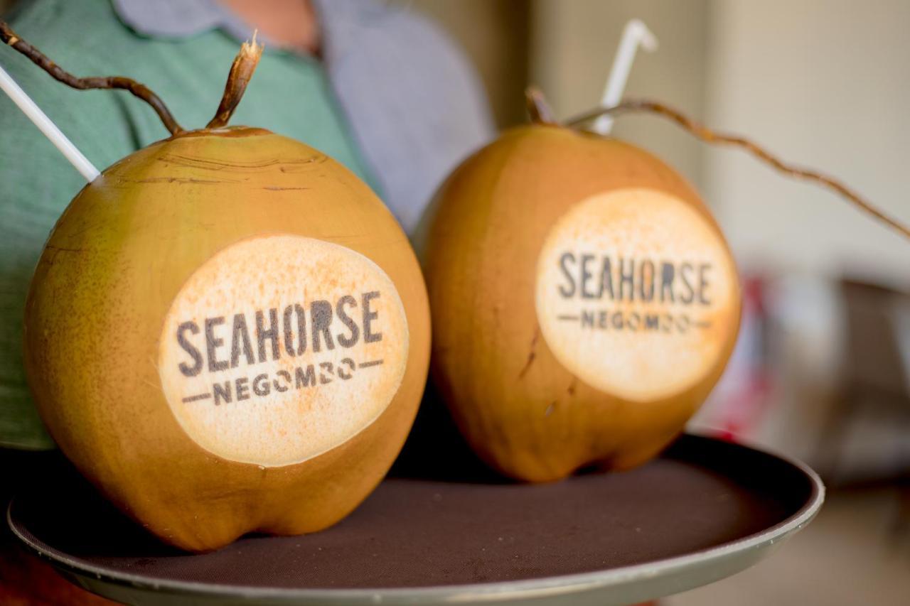 Seahorse Hotel & Spa Negombo Exteriér fotografie
